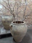Large Pair of French Terracotta Pots