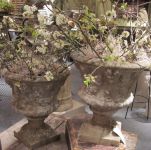 Large English Reconstituted Urns.
